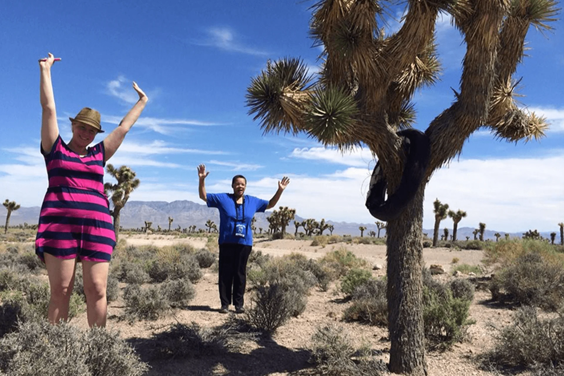 Area 51 Tour from Las Vegas